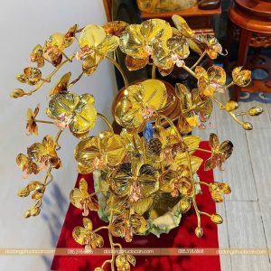 z7263481182875 42c42dce6fa800dcfe17d5e3b271bdb8