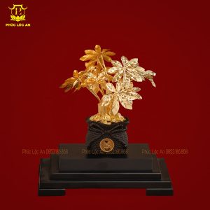 cay kim tien ma vang bieu tuong chieu tai hut loc 611 10