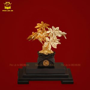 cay kim tien ma vang bieu tuong chieu tai hut loc 611 11