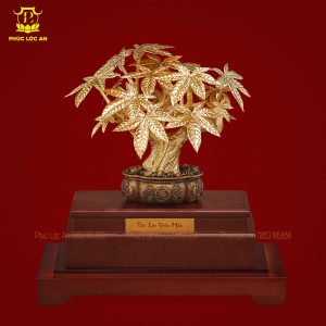 cay kim tien ma vang bieu tuong chieu tai hut loc 611 16