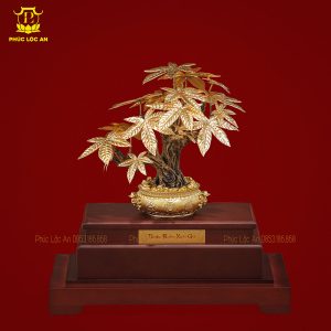 cay kim tien ma vang bieu tuong chieu tai hut loc 611 17