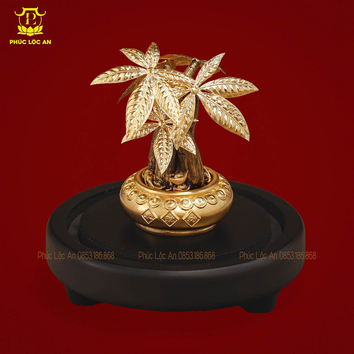 Cây Kim Tiền Mạ Vàng – Biểu tượng chiêu tài, hút lộc