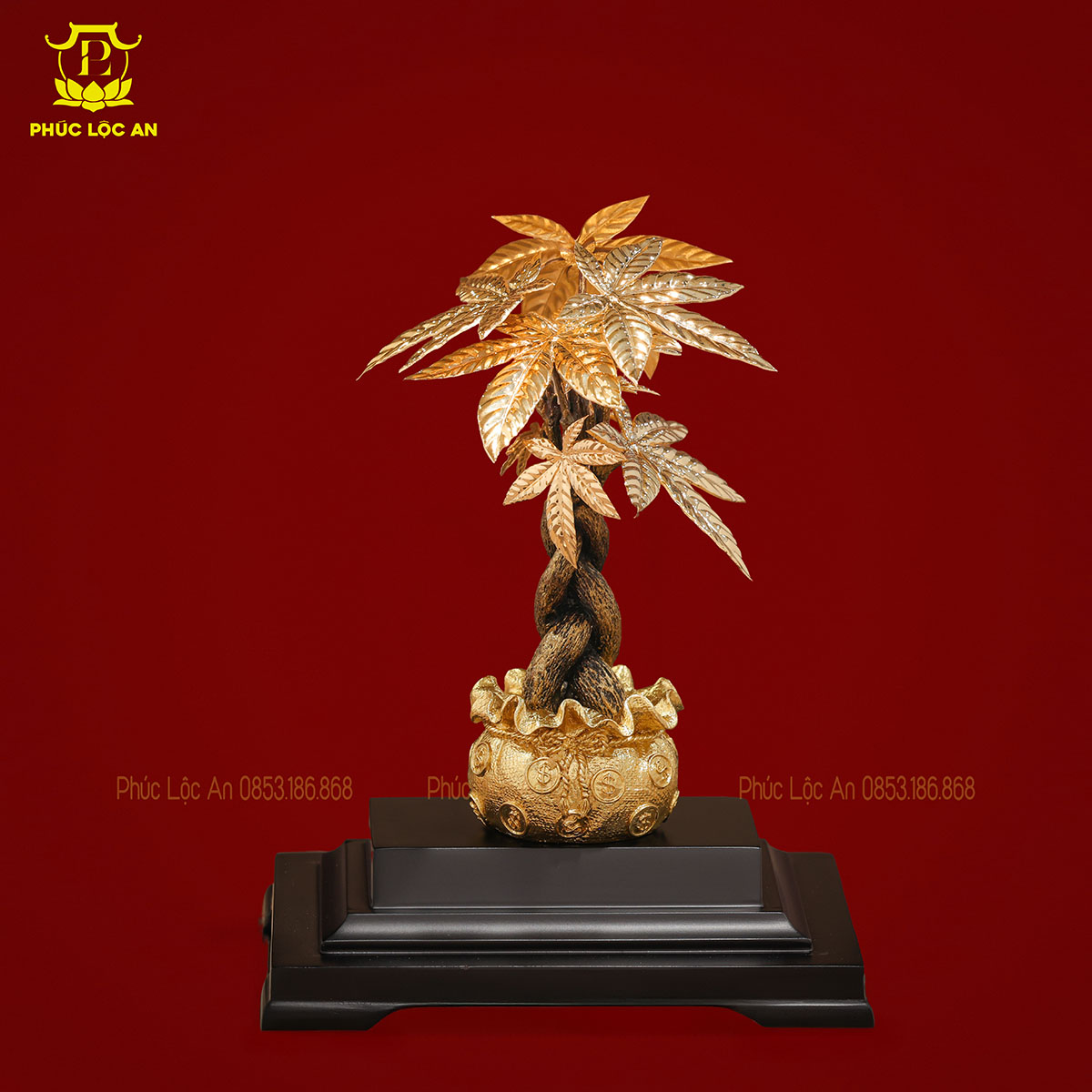 Cây Kim Tiền Mạ Vàng – Biểu tượng chiêu tài, hút lộc