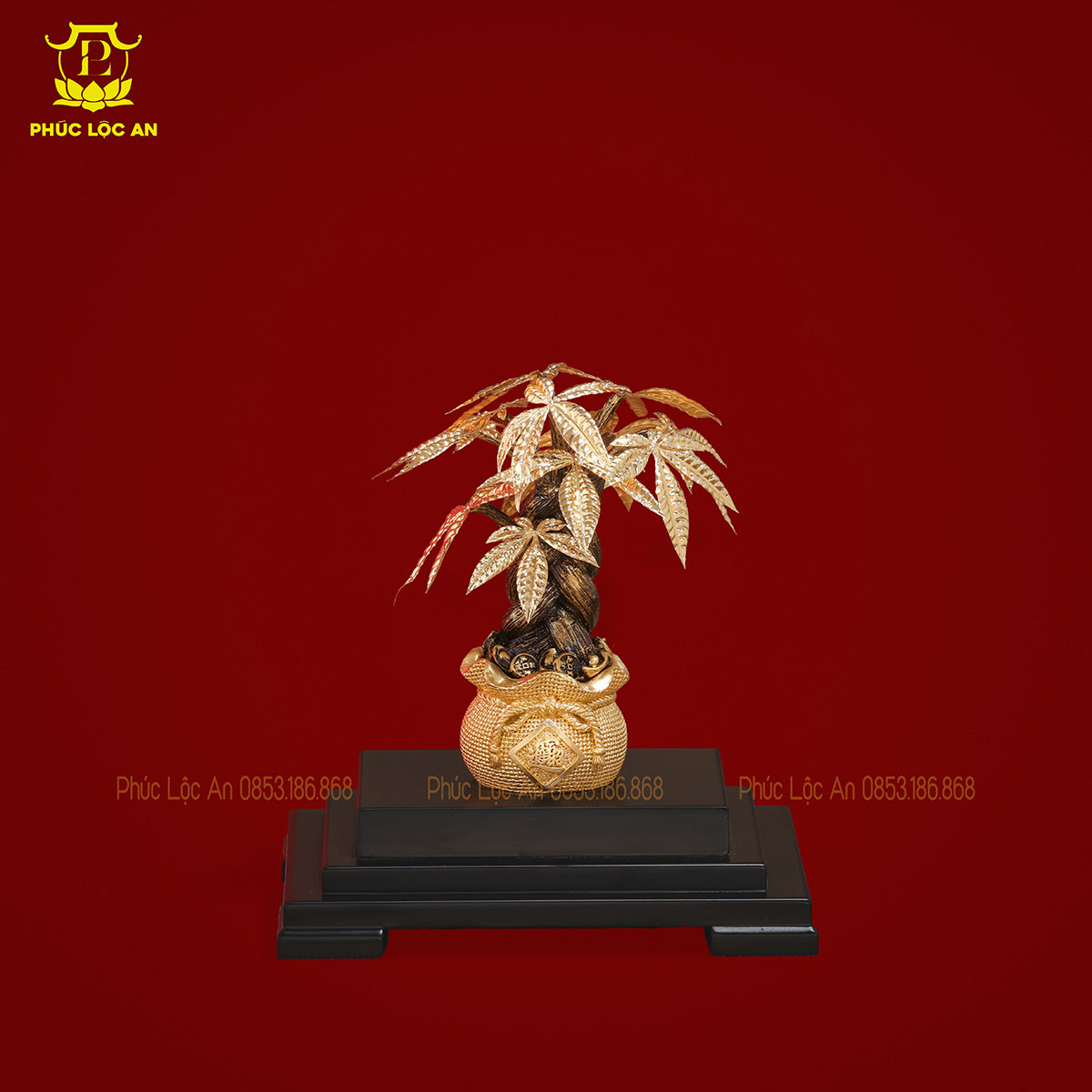 Cây Kim Tiền Mạ Vàng – Biểu tượng chiêu tài, hút lộc