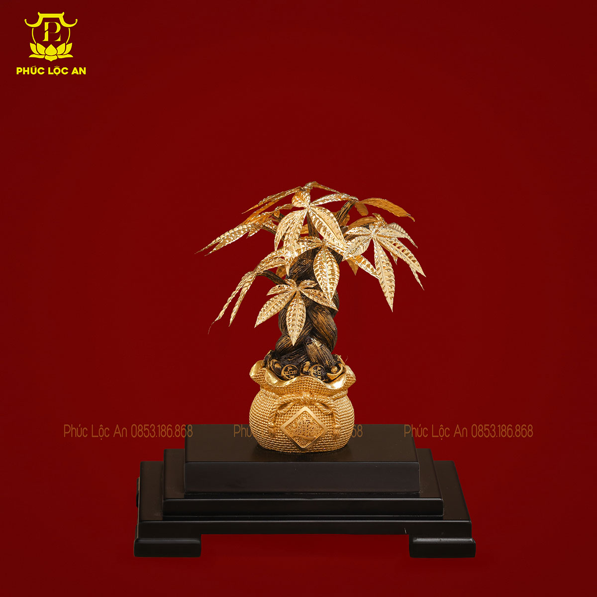 Cây Kim Tiền Mạ Vàng – Biểu tượng chiêu tài, hút lộc