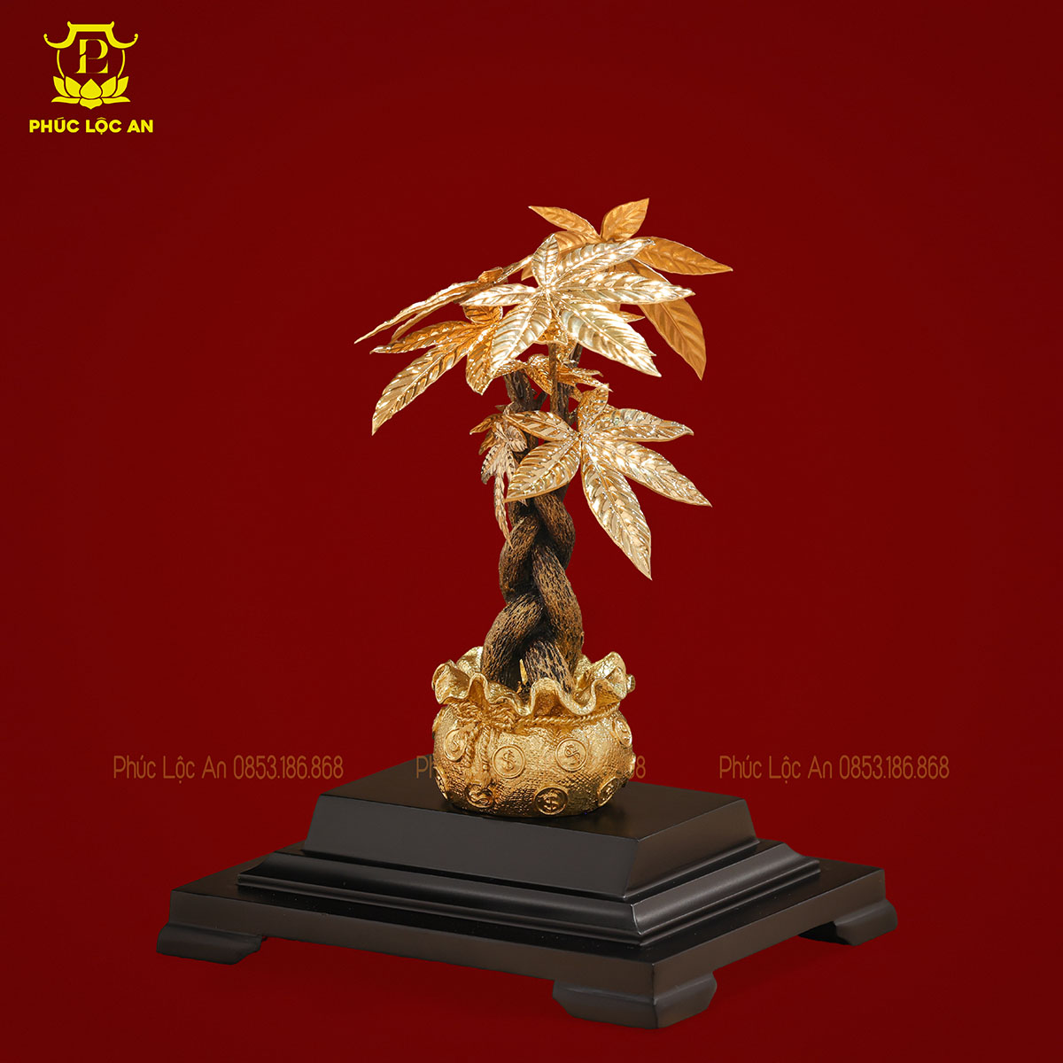 Cây Kim Tiền Mạ Vàng – Biểu tượng chiêu tài, hút lộc