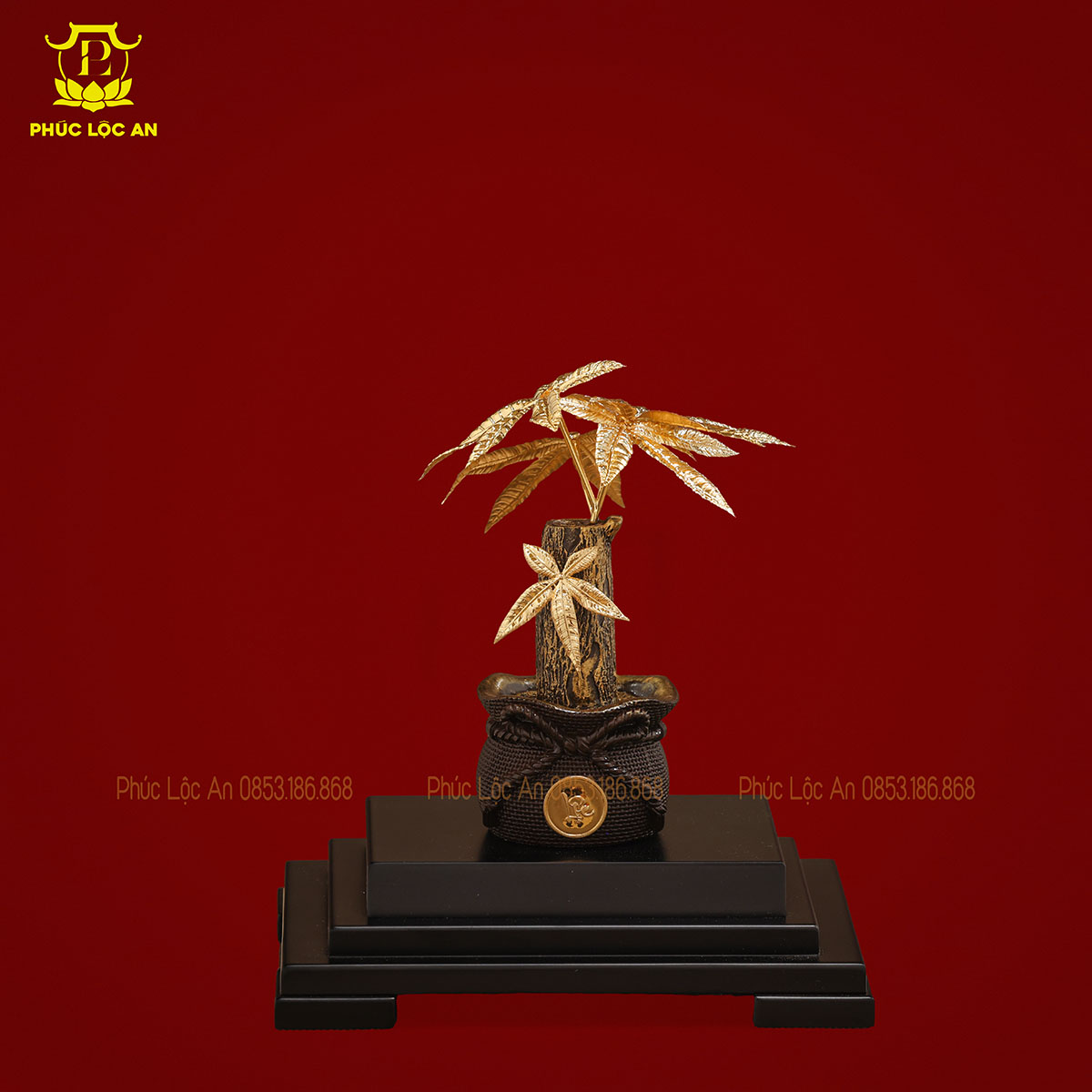 Cây Kim Tiền Mạ Vàng – Biểu tượng chiêu tài, hút lộc